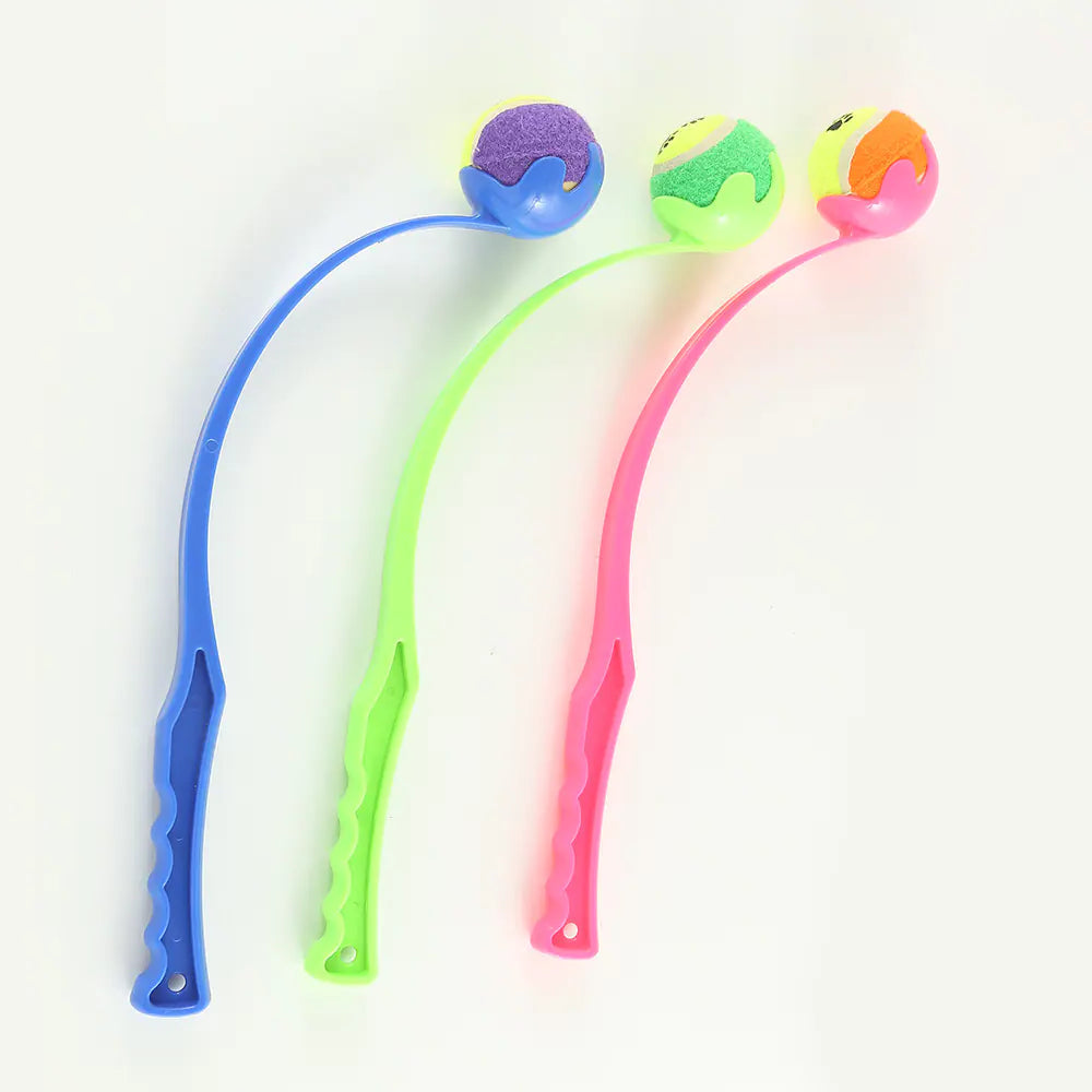 Fetch Pro Dog Trainer