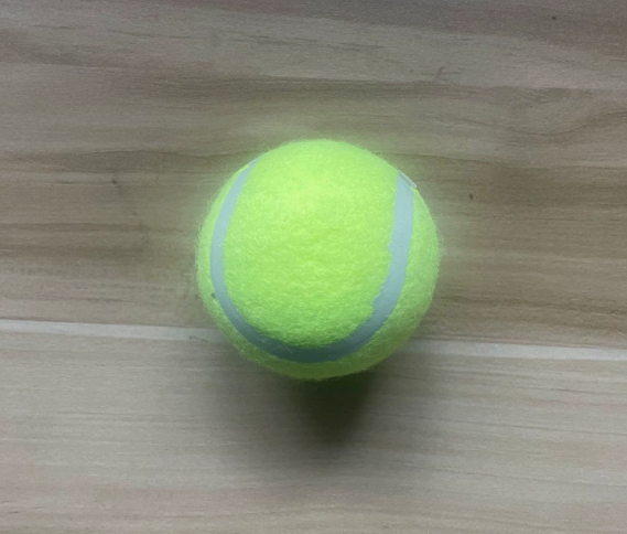 Fetch Pro Dog Trainer