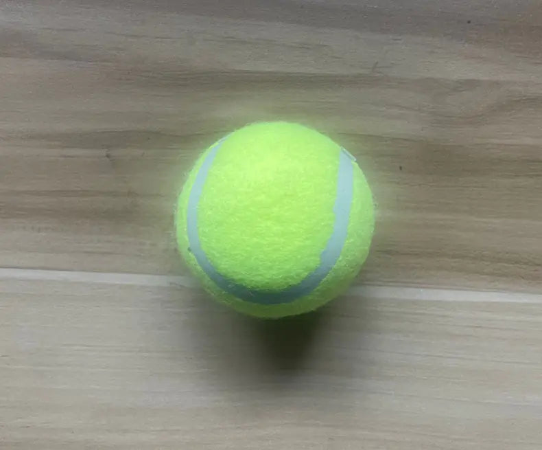 Fetch Pro Dog Trainer